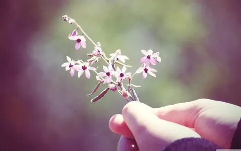 Small flower