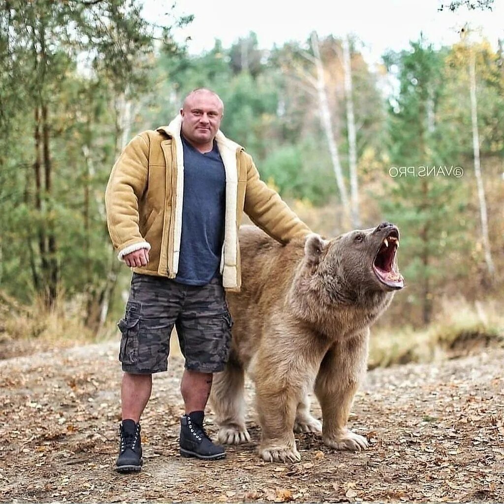 Мужчина медведь. Мужик и медведь. Русский мужик с медведем. Опасный медведь.