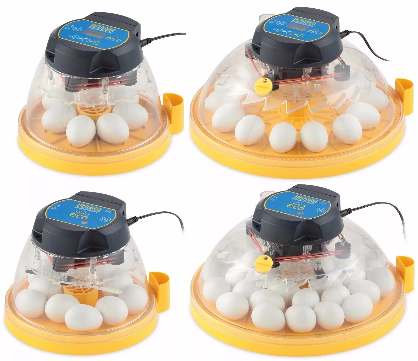 Инкубатор Egg incubator. Инкубатор для Delvotest incubator Mini s. Инкубатор для яиц Blue Star 360. Mini Egg incubator dp.