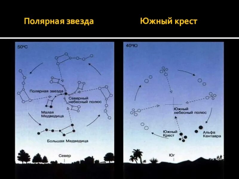 Движение созвездия большая Медведица по небосводу. Движение созвездия большой медведицы вокруг полярной звезды. Большая Медведица и Полярная звезда расположение. Карта Полярных созвездий.