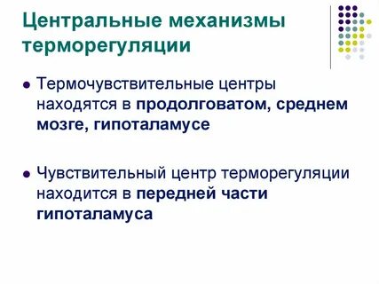 Центр терморегуляции