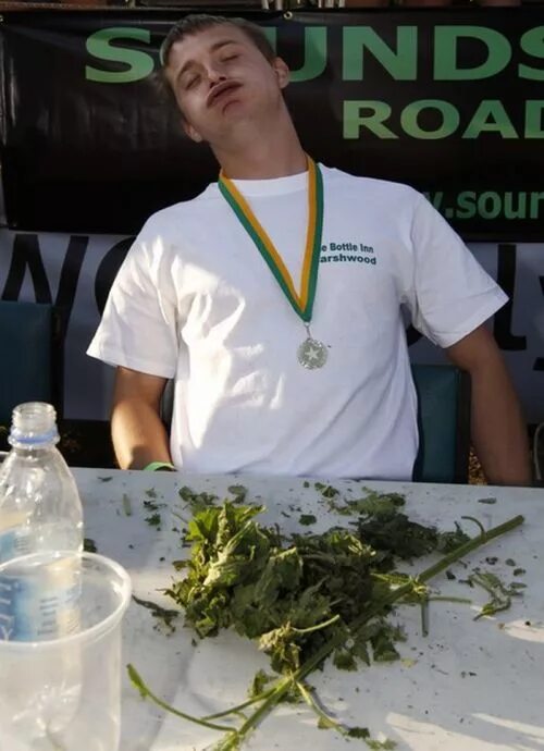 Поедание крапивы. Nettle eating (поедание крапивы). Чемпионат по поеданию крапивы в Англии. Традиция в Англии поедание крапивы. Соревнования по поеданию крапивы.