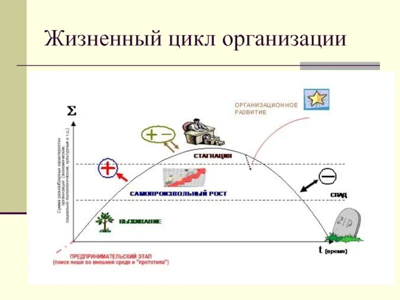 Жизненный цикл проблемы. Жизненный цикл организации. Жизненный цикл предприятия. Жизненный цикл предпринимательской организации. Жизненный цикл организации прикол.