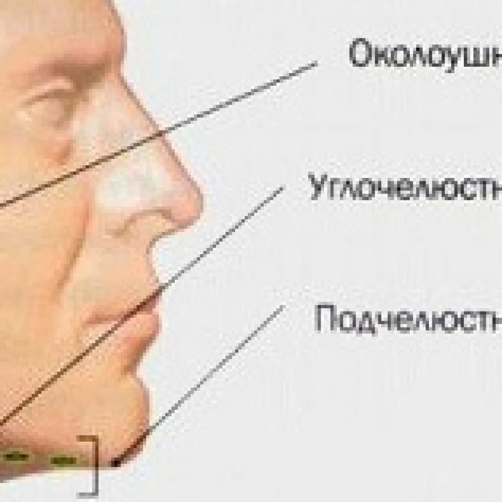 Сводит под челюстью