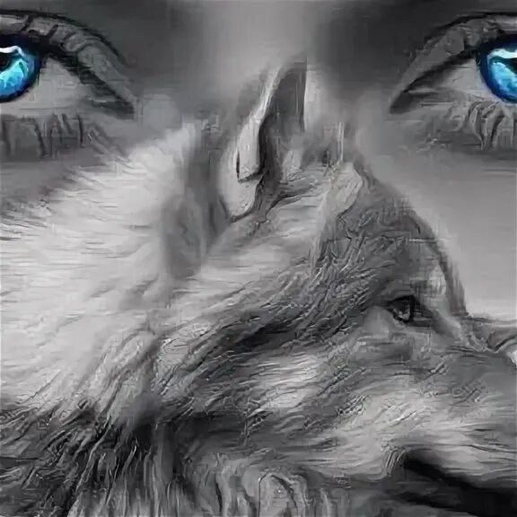 Одинокая волчица читать. Волчий взгляд. Волк тоскует по волчице. Глаз волка. Одинокая волчица картинки.