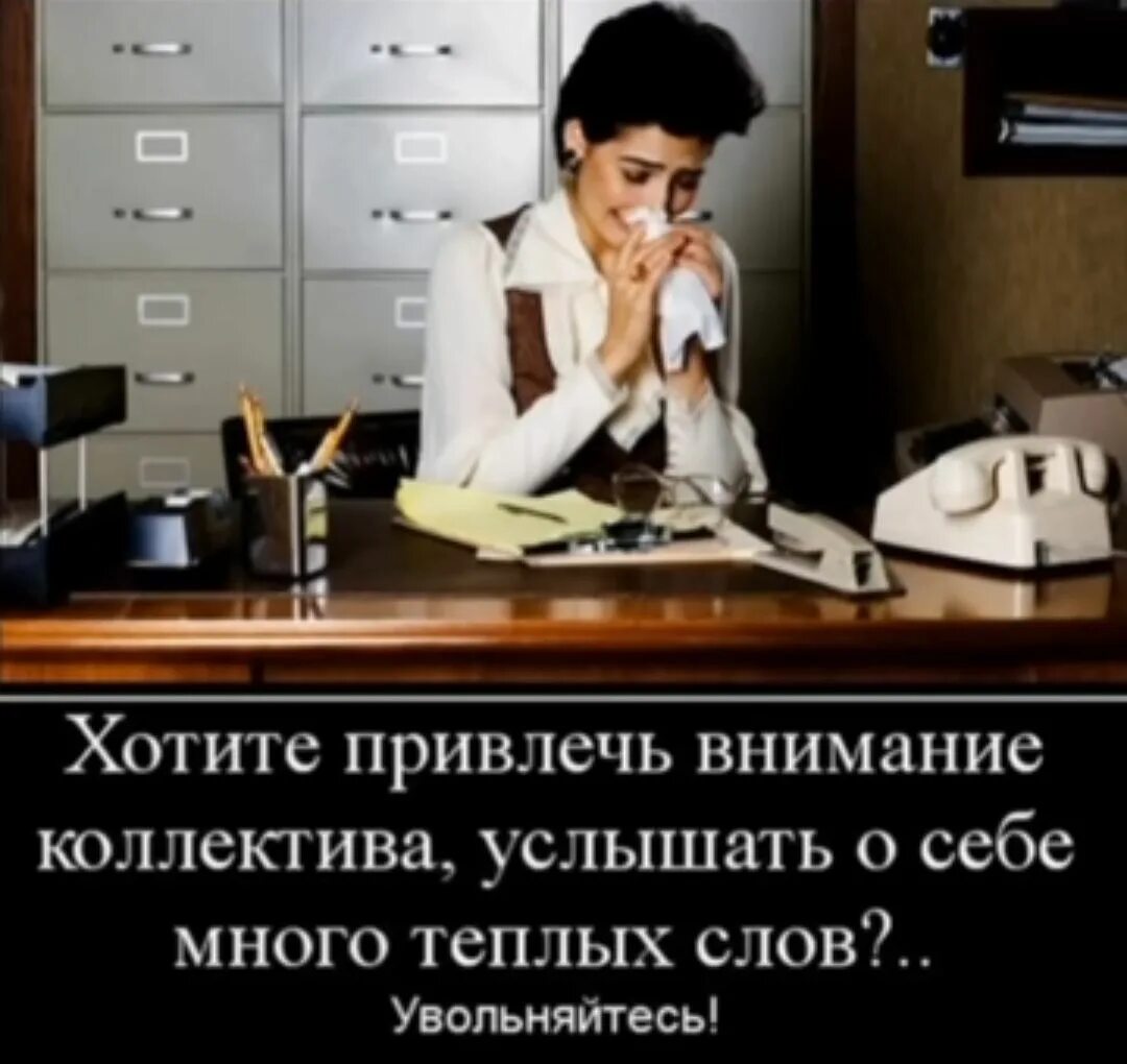 Слова в новом коллективе. Цитаты про работу смешные. Увольнение прикол. Женский коллектив демотиваторы. Женский коллектив на работе.