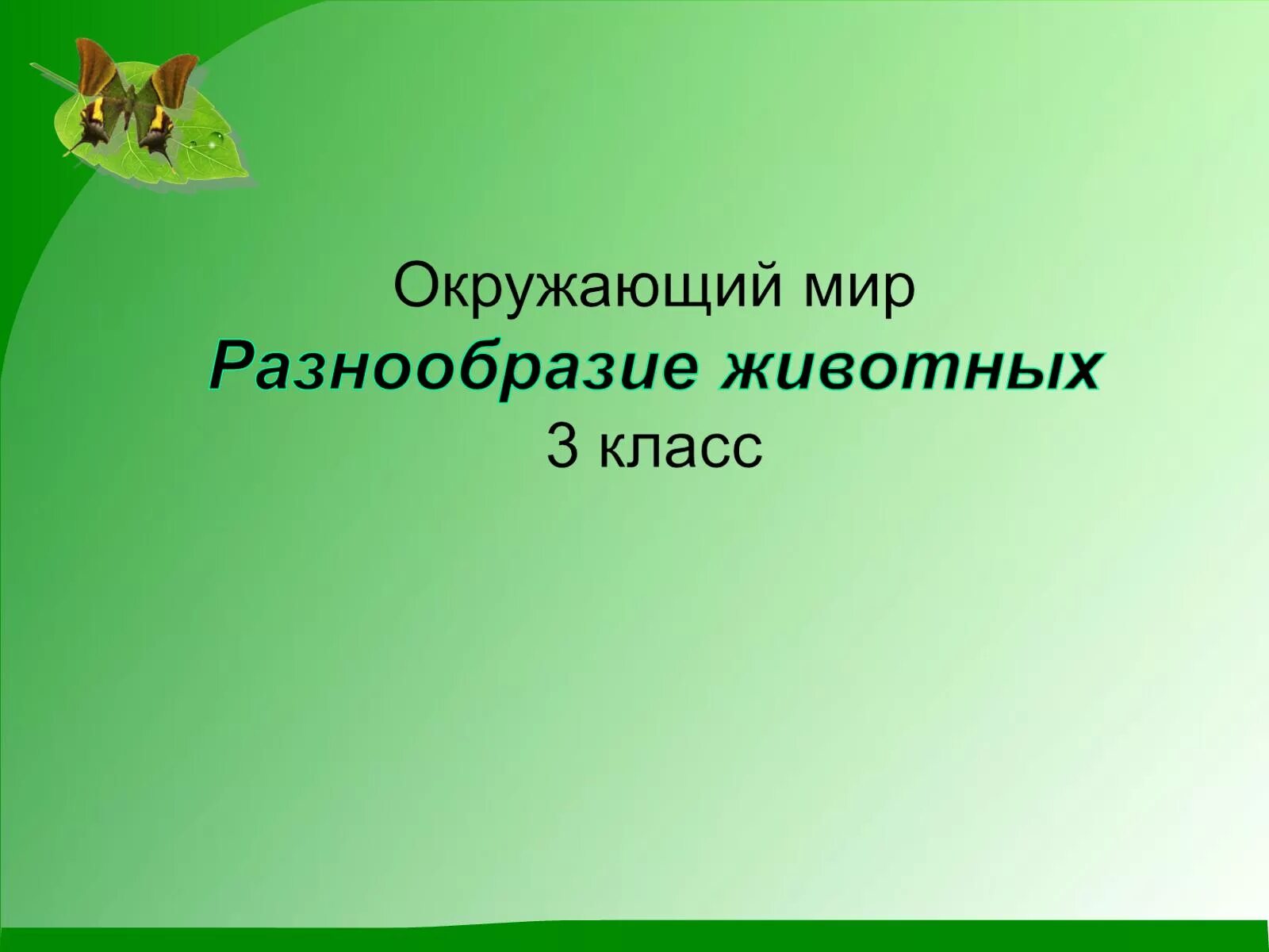 Окружающий мир 2 класс тесты животные. Презентация по окружающий мир 2 класс. Разнообразие животных 3 класс окружающий мир. Разнообразие животных 2 класс окружающий мир. План проекта разнообразие животных.