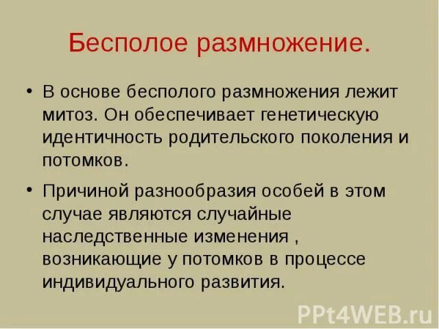 Что лежит в основе бесполого размножения. Какой процесс лежит в основе бесполого размножения. Цитологические основы бесполого размножения. Какого биологическое значение митоза.