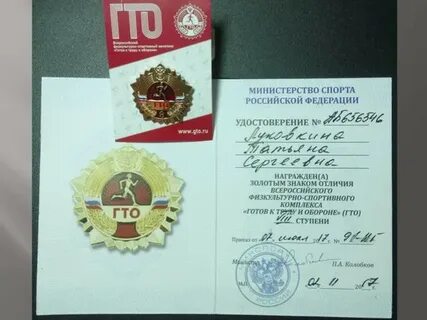 Золотой значок 6 ступень