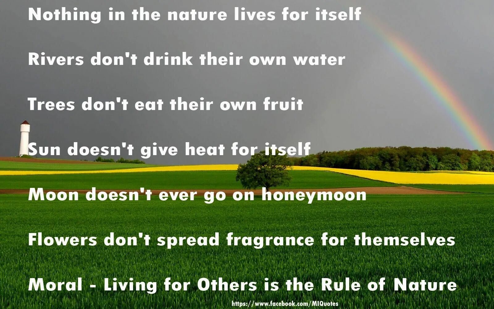 Proverbs and sayings about nature. Rules of nature перевод. Quotes about nature Protection. Quotes about ecology. Reading about ecology