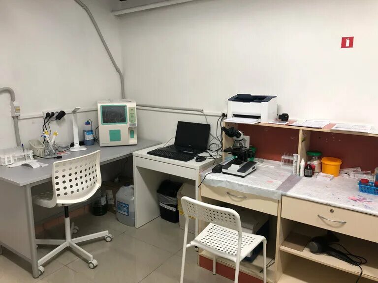 уши хвост селятино