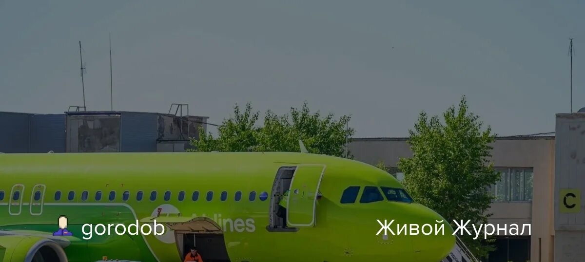 S7 airlines места. Самолет s7. Места в самолете s7. Авиакомпания s7.