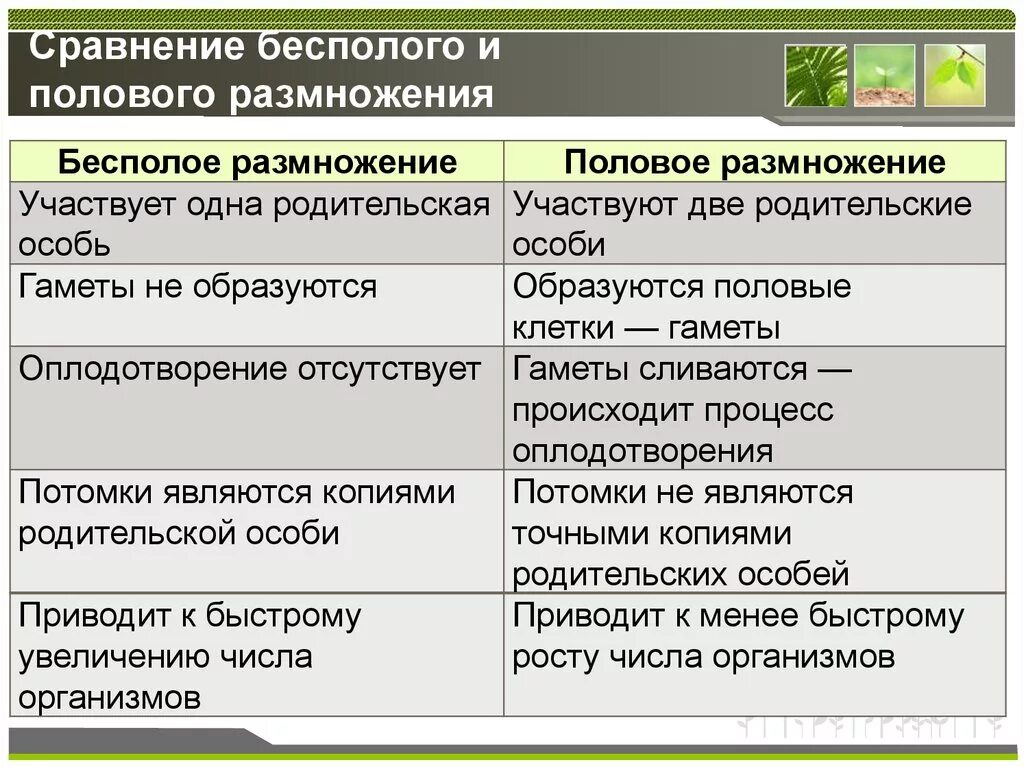 Каковы особенности бесполого размножения 6 класс