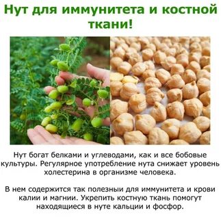 Применение нута