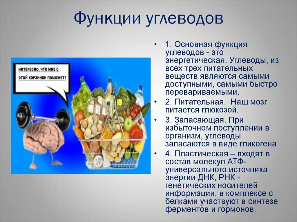 Запасающая функция углеводов. Запасающая функия углеводоа. Запасающая функция углеводов примеры. Углеводы запасают питательные вещества.