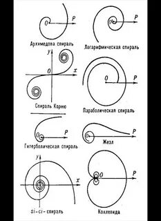 Спираль корню