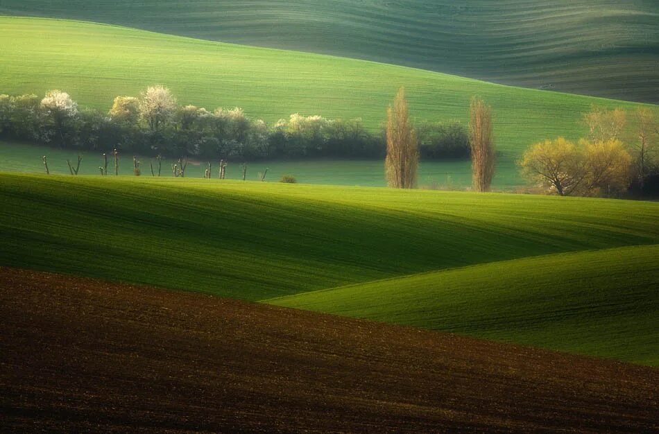 Поле холмы. Зеленое поле Тоскана. Красивое поле. Зеленый пейзаж. Фон поле.