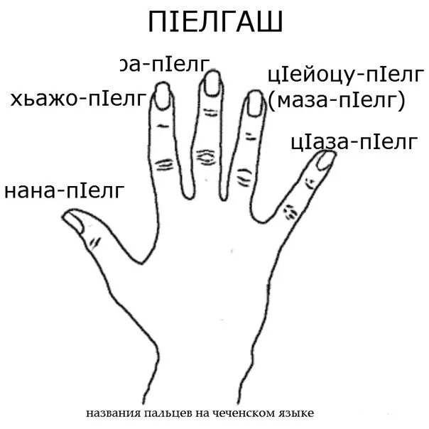 Как называется мизинец