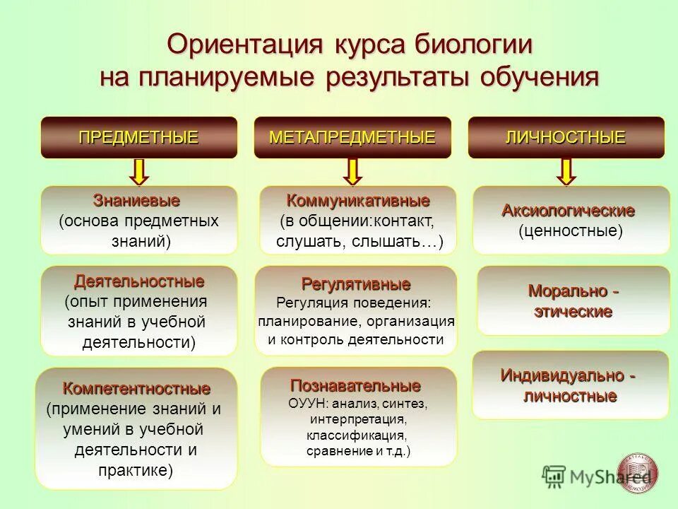 Основы предметных знаний. Основы предметных знаний
