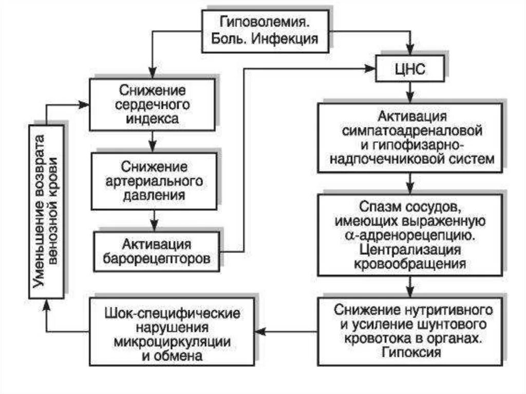 Общие реакции на травму. Общие реакции организма на повреждения стресс ШОК коллапс кома. Общие реакции организма на повреждение. Общая реакция организма на травму. Общие реакции организма на повреждение патология.