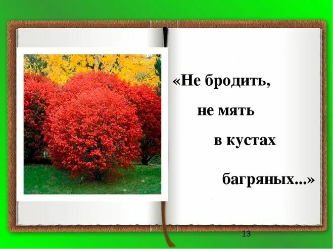 Техника исполнения стихотворения. Не бродить не мять анализ стихотворения. Шаганэ есенин. В кустах багряных есенин. Не бродить в кустах багряных.
