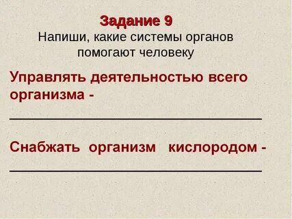 Орган управляющий всем организмом человека