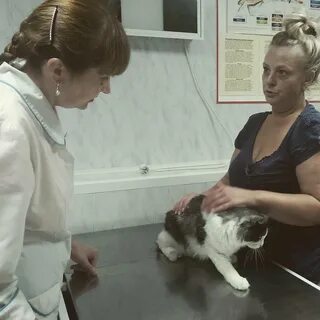 Ветеринарная нижний