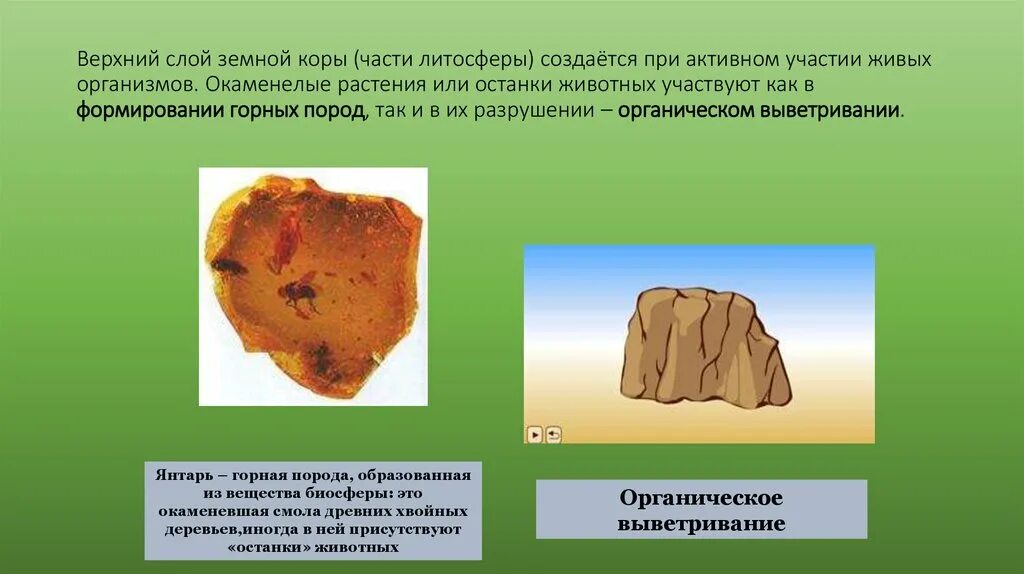 Горные породы образуют земную кору