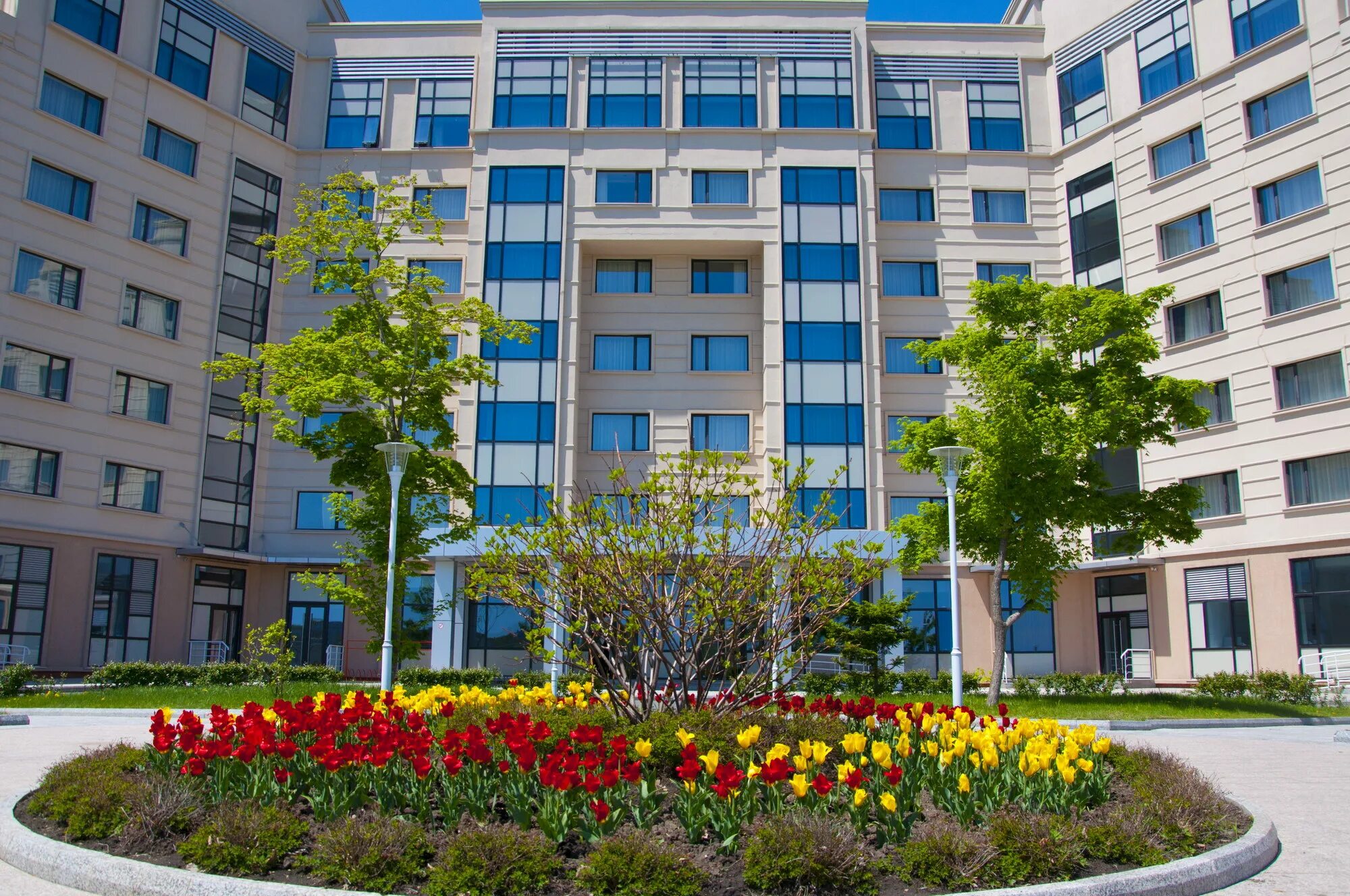 Владивосток университет на острове. Русский остров владивосток университет двфу. Двфу владивосток. Двфу дальневосточный федеральный университет. Cats dvfu.