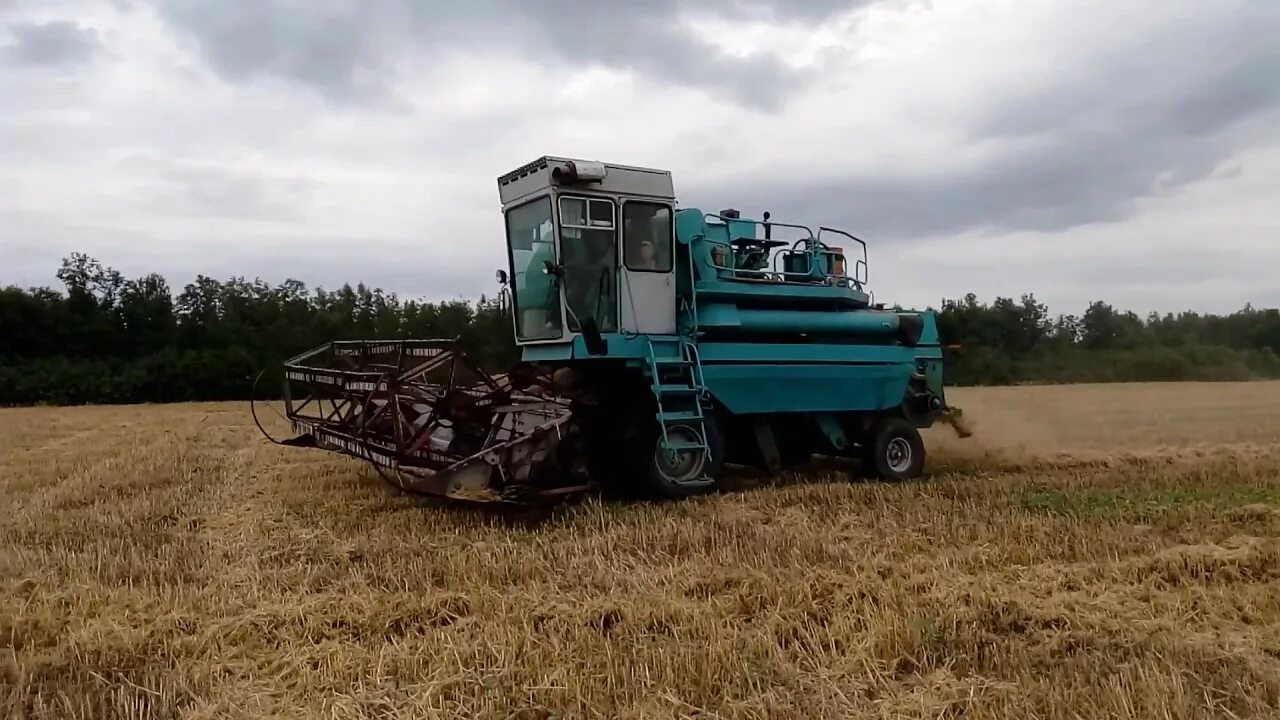 Зерноуборочный комбайн енисей 1200. Комбайн кормоуборочный енисей 324. Фото комбайна енисей. Фото комбайна енисей. Фото комбайна енисей.