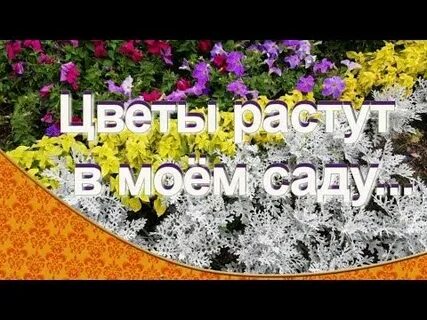 Песни цветы растут