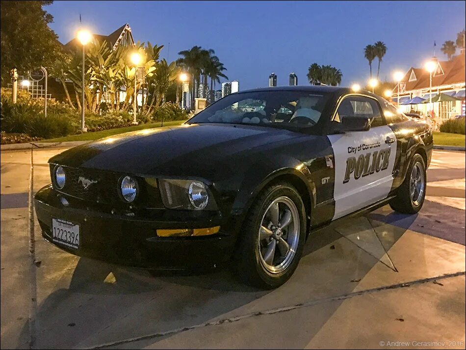 Полицейский мустанг. Форд Мустанг 911 полиция. Мустанг 2008 американская полиция. Ford Mustang 911 Sheriff. Мустанг 2008 американская полиция передняя часть.