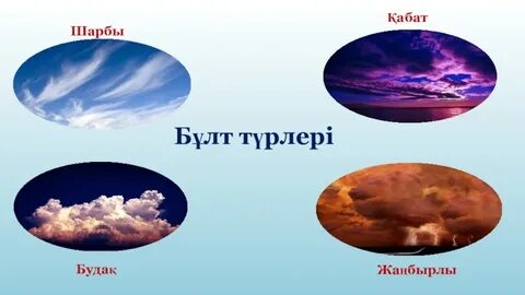 Олар порно жезөкшенің айналасында өтті