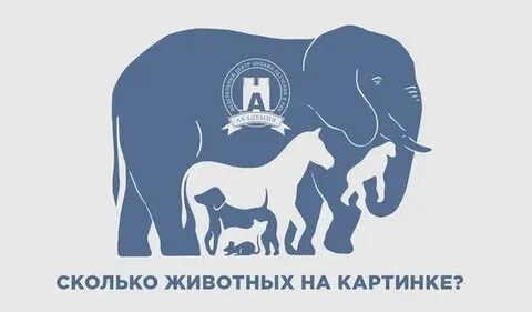 Сколько животных получили имена благодаря активному гражданину