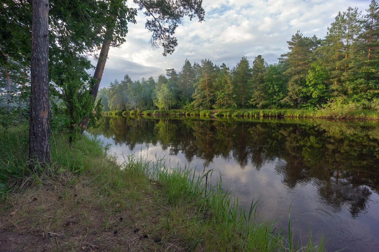 Мещера народ. Мещерский заповедник в Рязанской области. Заповедник Мещера. Национальный парк Мещера Гусь-Хрустальный. Национальный парк Мещёра во Владимирской.