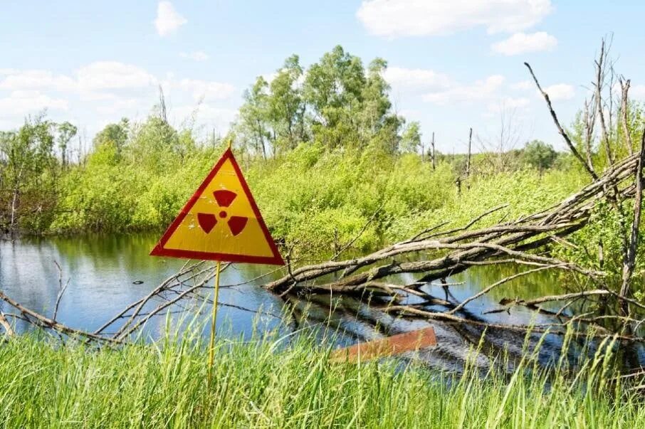 Радиоактивный пруд Чернобыль. Чернобыль озеро радиоактивное. Река Припять Чернобыль. Загрязнение водоемов Чернобыль.