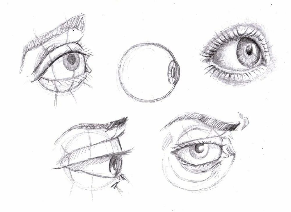 Как нарисовать глаз поэтапно карандашом для начинающих. Глаз сбоку референс. Анатомия глаз для рисования. Глаза скетч. Рисование глаз в разных ракурсах.