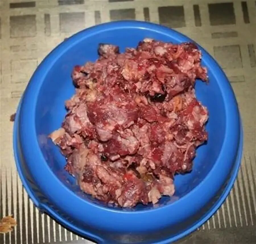 Можно ли давать собакам фарш. Фарш для собак говяжья 40р.