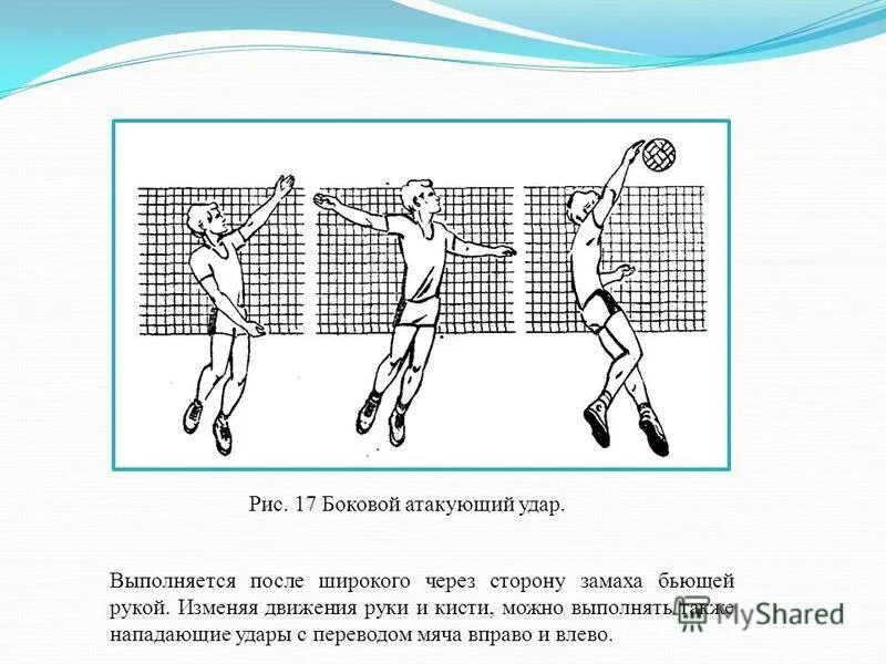 Техника нижней подачи мяча в волейболе. Подача снизу в волейболе техника выполнения. Техника выполнения нижней подачи мяча в волейболе. Техника удара по мячу ногой. Замах принападющем ударе.