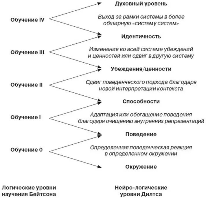 Уровни научения