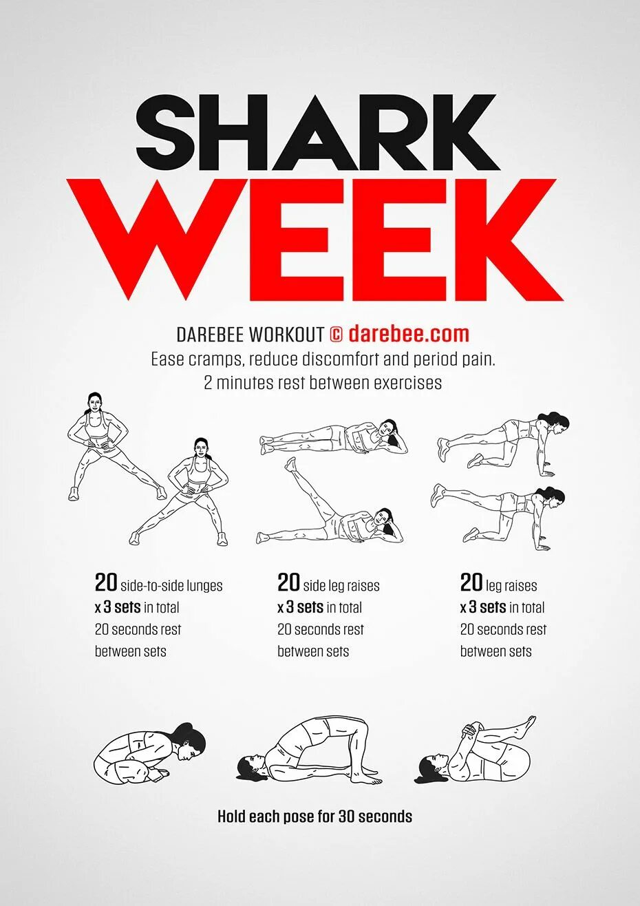 Программа тренировок shark. Упражнение с Shark Fit. Шарк фит упражнения.