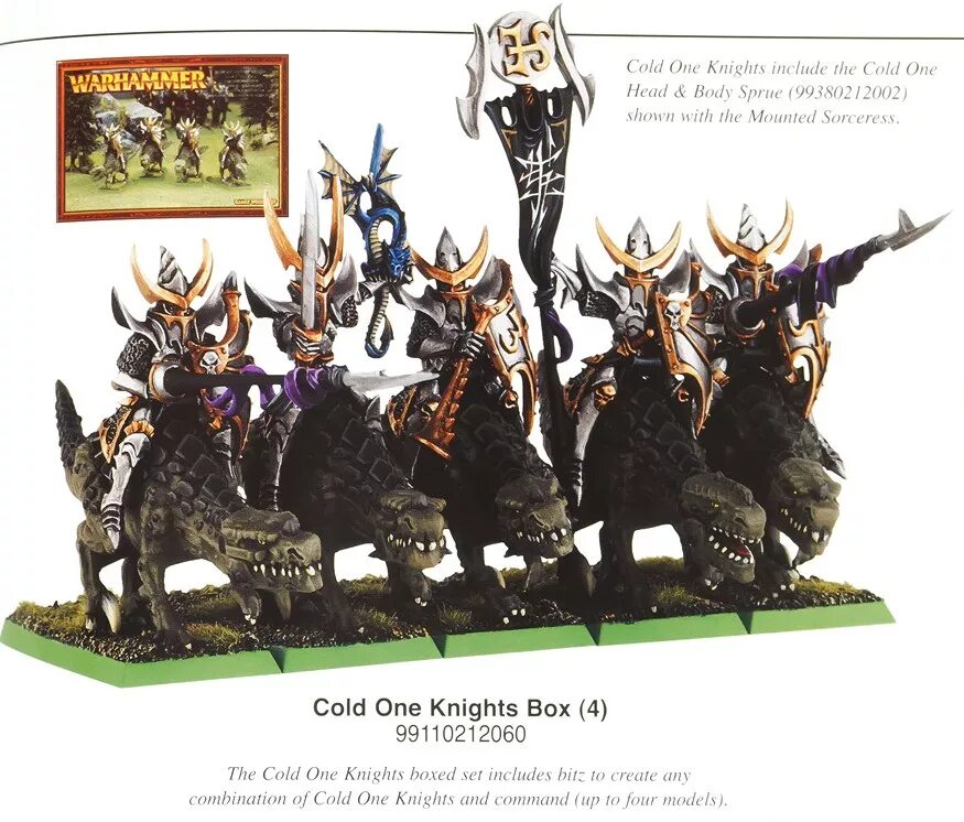 Cold first. Dark Elves Cold one Knights. Dark Elf Cold one Knights литники. Cold one Knights. Warhammer Fantasy Battles Dark Elves Модельный ряд.