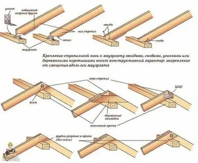 Прогони какую