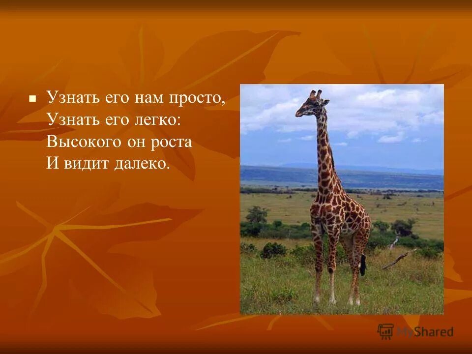Цитаты про деньги. Узнать его нам просто. Цитаты про половинки. Физ минутка для детей про вини пуха. Забавный окружающий мир.