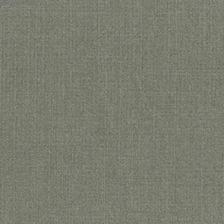 Platinum gray