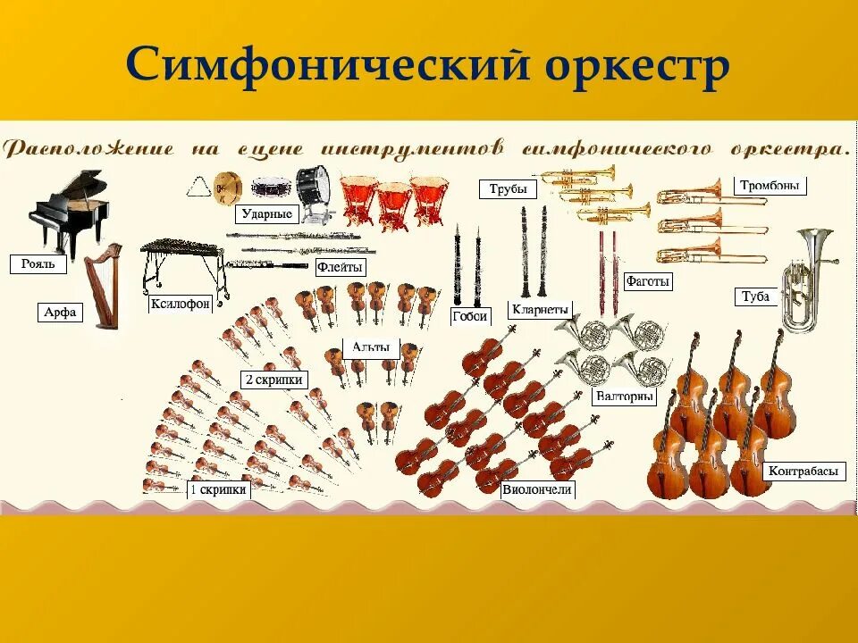 Состав групп музыкальных инструментов симфонического оркестра. Состав групп музыкальных инструментов симфонического оркестра