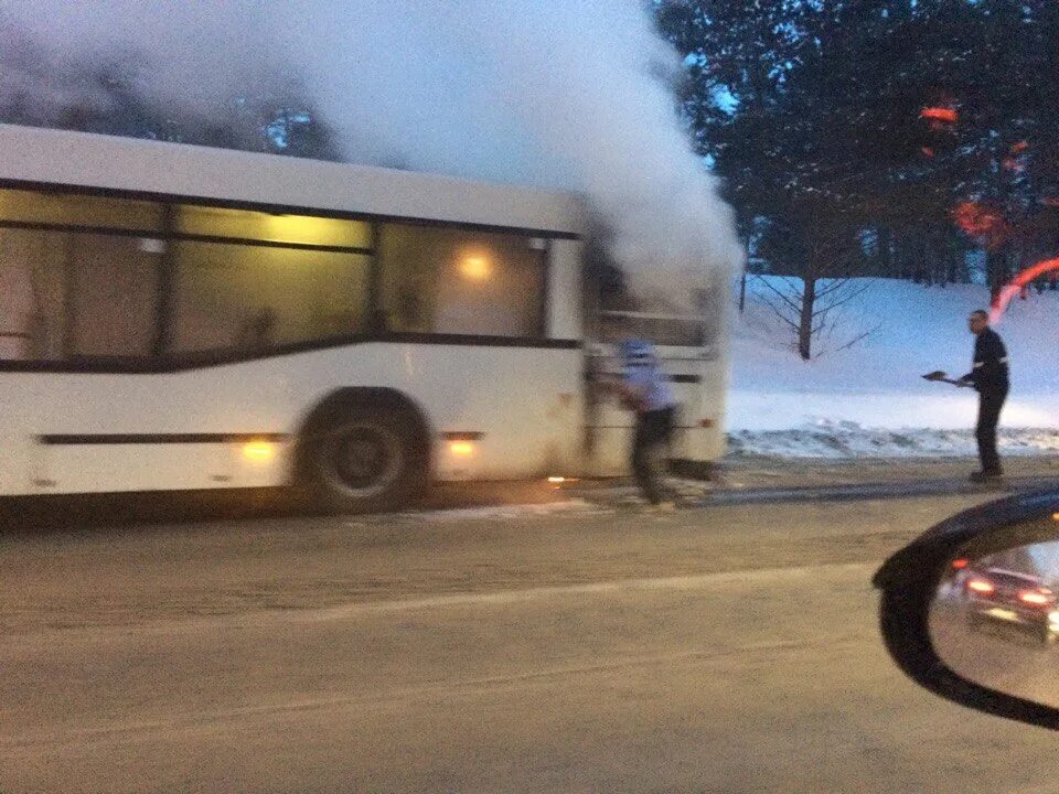 Автобус утром вышел