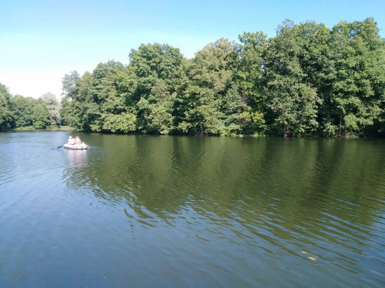 Вода в черемшане