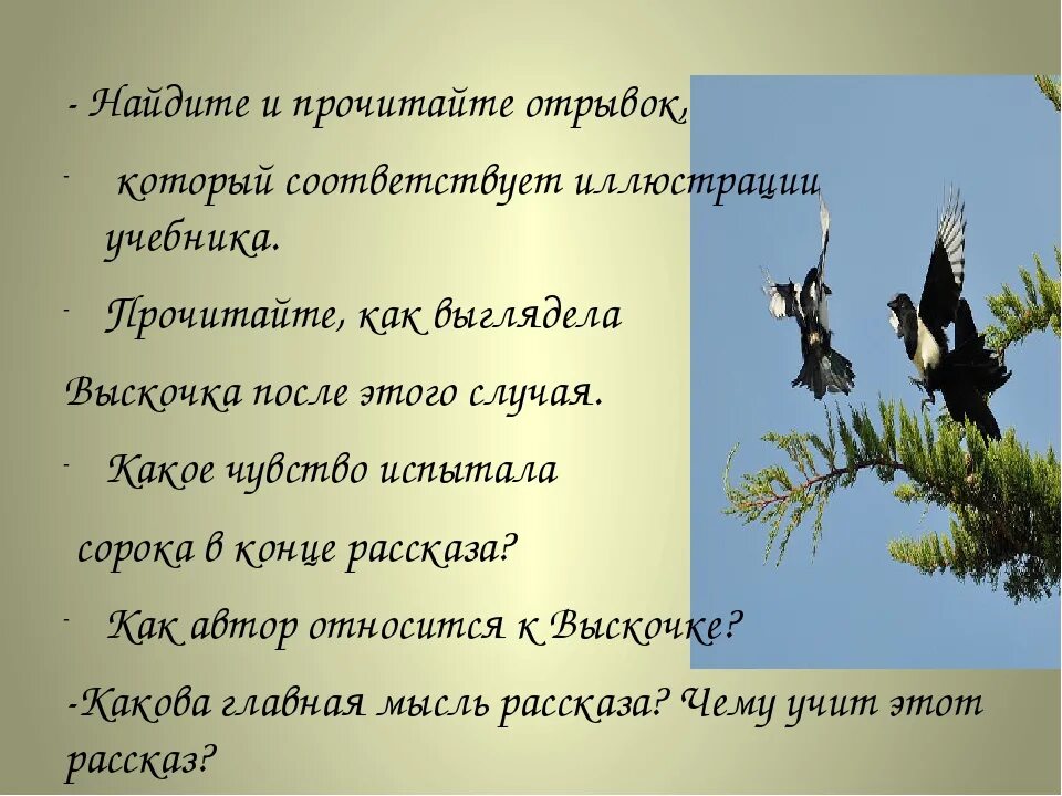 Пересказ произведения выскочка. План к рассказу выскочка 4 класс. Выскочка Пришвина. Выскочка пришвин план 4 класс. Рифшин выскочка.