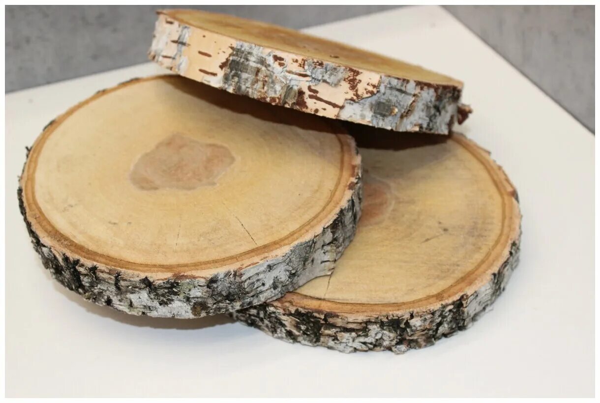 берёза (древесина). срез дерева береза. карельская береза доска. круглый срез дерева. спил карельской березы.